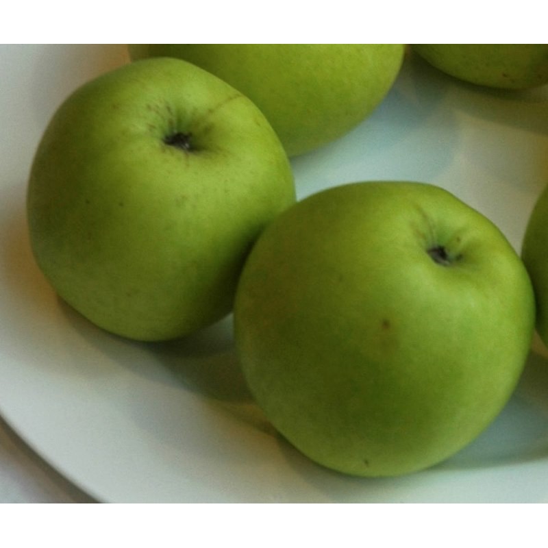 Malus 'Greensleeves' Malus 'Greensleeves'