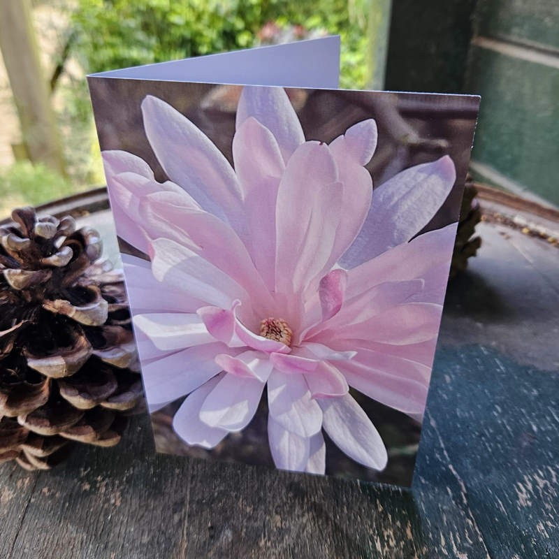 Gift Card - Magnolia 'Jane Platt'