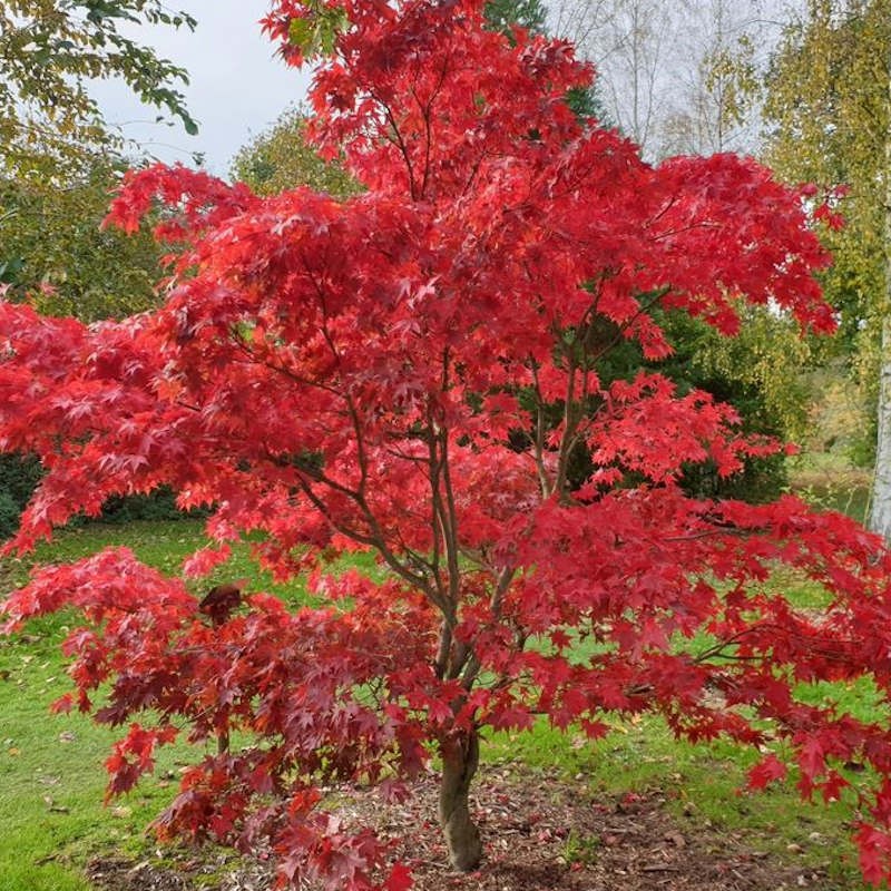 Garden Pass - 12 Months - Gardens in Autumn