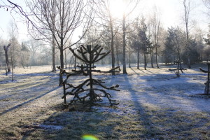 Gardens in WInter